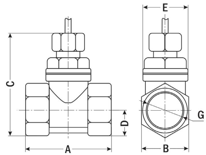drpp01ch.jpg drpp01ch.jpg